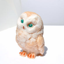 Load image into Gallery viewer, Owl Soap - SoapByNadia