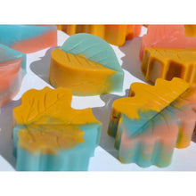 Load image into Gallery viewer, Leaves Soap Set (7) - SoapByNadia