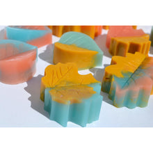 Load image into Gallery viewer, Leaves Soap Set (7) - SoapByNadia