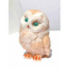 Load image into Gallery viewer, Owl Soap - SoapByNadia