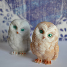 Load image into Gallery viewer, Owl Soap - SoapByNadia