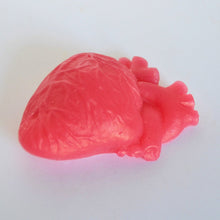 Load image into Gallery viewer, Anatomical Heart Soap - SoapByNadia