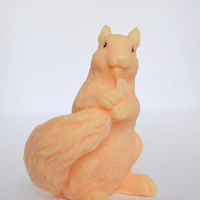 Load image into Gallery viewer, Squirrel Soap - SoapByNadia