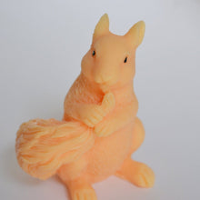 Load image into Gallery viewer, Squirrel Soap - SoapByNadia