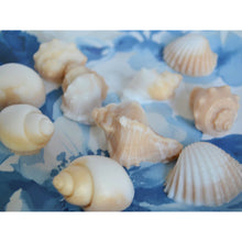 Load image into Gallery viewer, 10 Seashell Soap Favors - SoapByNadia