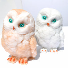 Load image into Gallery viewer, Owl Soap - SoapByNadia
