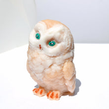 Load image into Gallery viewer, Owl Soap - SoapByNadia
