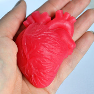 Anatomical Heart Soap - SoapByNadia