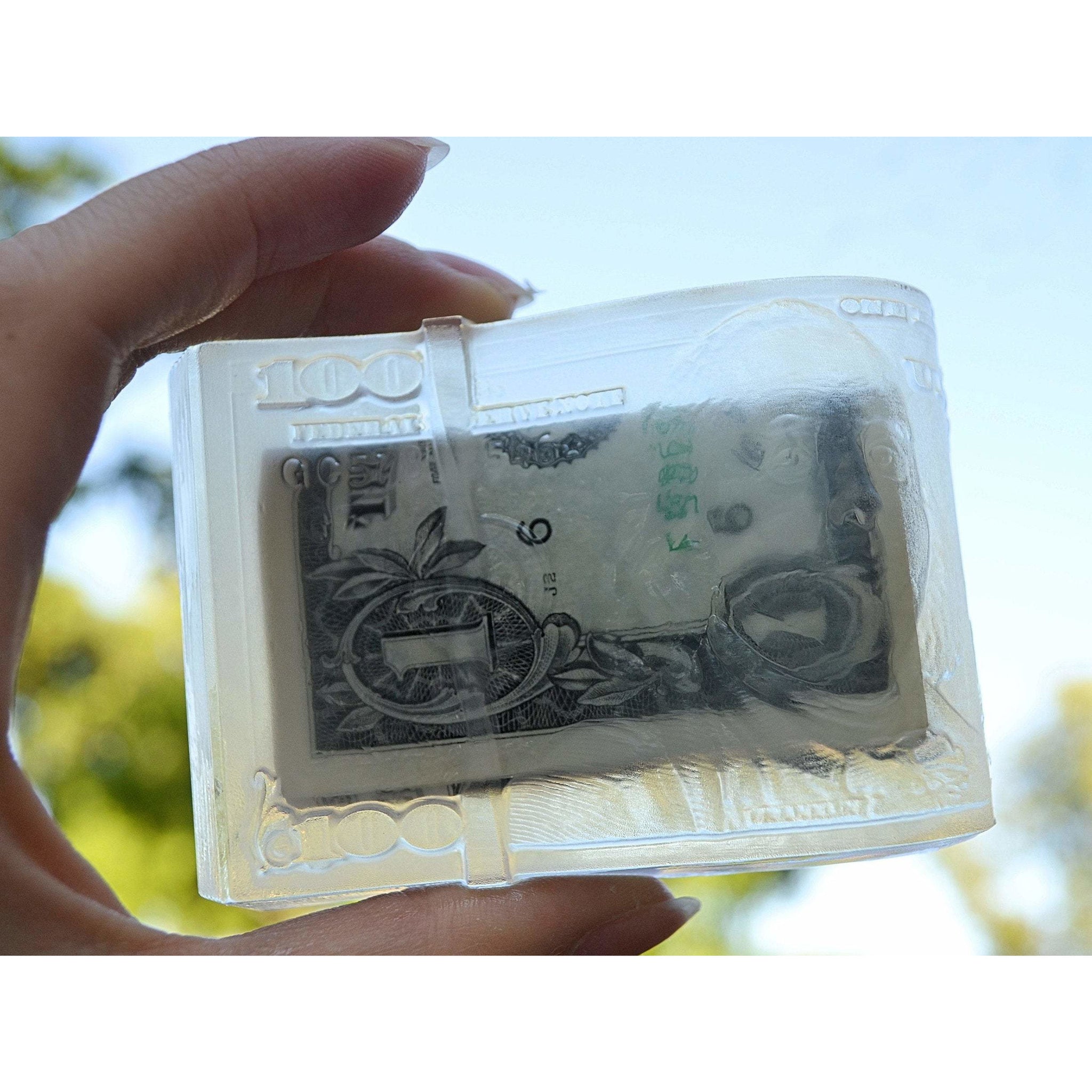 Money Soap with Real Cash Inside / Soap By Nadia