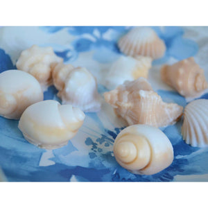 10 Seashell Soap Favors - SoapByNadia