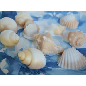 50 Seashell Soap Favors - SoapByNadia