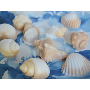 10 Seashell Soap Favors - SoapByNadia